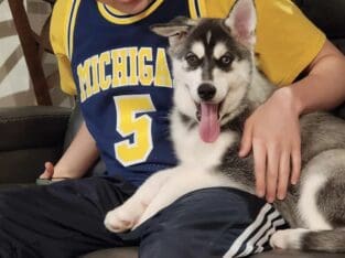 Looking for a loving home