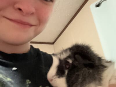 Guinea Pig – Georgie