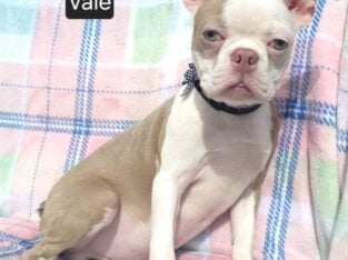 “Vale”
