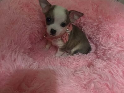Tiny little girl
