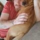American PitBull Terriers