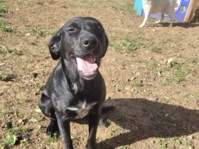 LUNA!