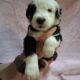 Old English Sheepdog Puppies