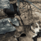 I’m trying to rehome a dog