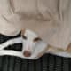 Looking for a new home for Ella