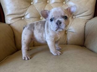 Rosie