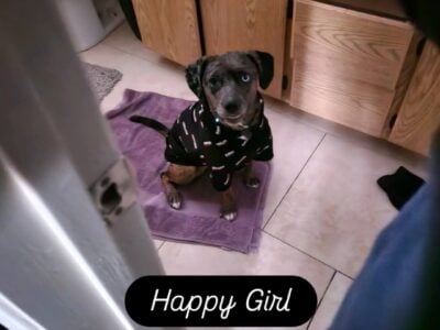 Rehoming Athena