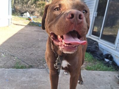 Pit mix
