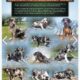 Catahoula puppies