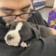 Puppy looking for forever home