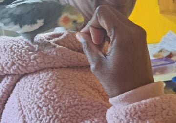 Birdie friend