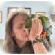 Absolutely the Sweetest Harlequin Macaw