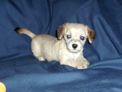 Crissy – very smart & beautiful