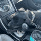 Rehoming