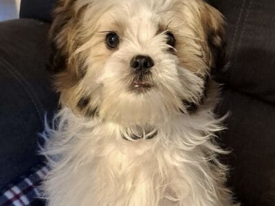 Cute as a button!