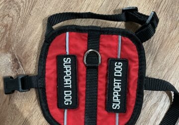 xs service vest, xxs support vest