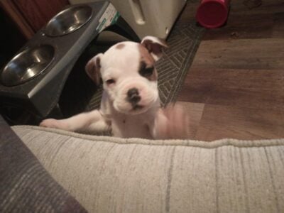 Finny