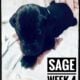 Sage The Great Dane