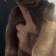 Cane Corso American Bulldog Red Nose Pitbull