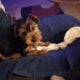 3.5 Month Old Yorkie