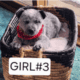 Puppies for sale
