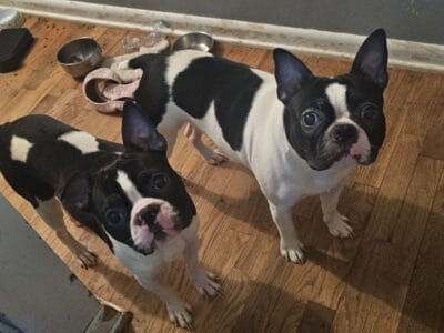 Looking for the perfect home!