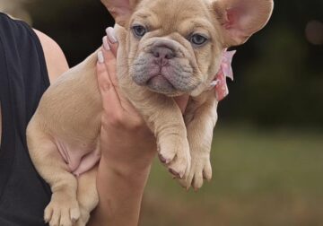 ADORABLE GIRLL
