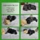 AKC German Shepherd Puppies