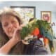 Absolutely the Sweetest Harlequin Macaw
