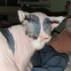 Little elfie blue