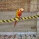 Sun cheek conures