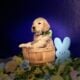 8 week AKC Golden Retriever Puppies
