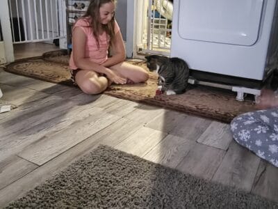 Two fur babies