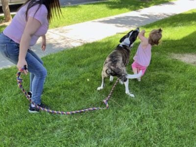 Sell 2 year old dog