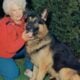 Chicago German Shepherd. Old Fashion Type!!!