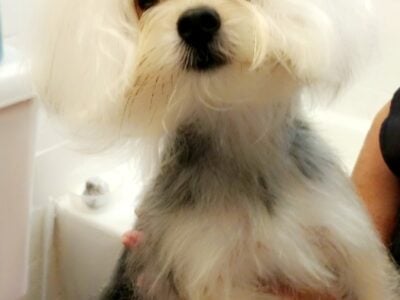 Sadie
