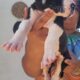 Great dane euro line puppies