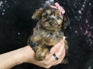 Precious