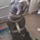 GHOST needs a new loving home