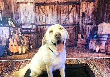 Meet Duke
