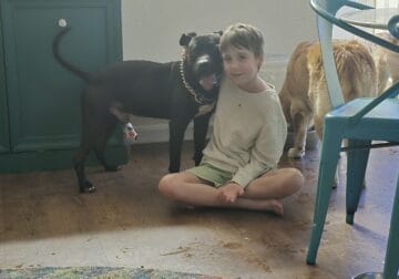 Beautiful lovable pit male