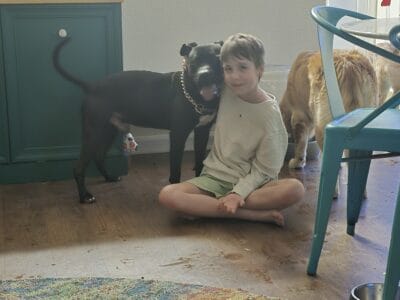 Beautiful lovable pit male