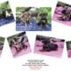 Luna’s Catahoula puppies