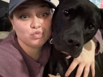 Playful Lab Mix to a Good Home