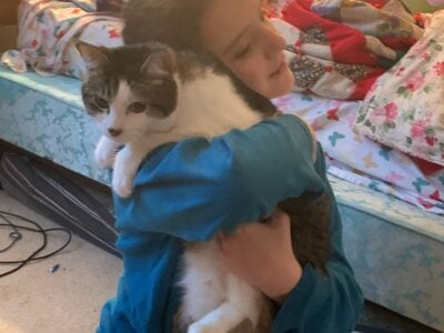 Sweet Lap Cat Free to a Good Home