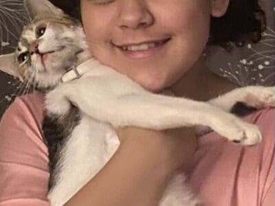 Kitten