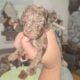 Mini Goldendoodles