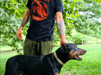 Gus the Doberman/Pitbull.