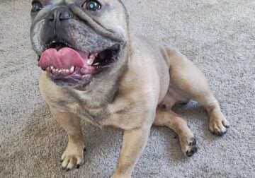 Sweet fella
