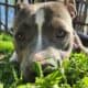 Need to rehome